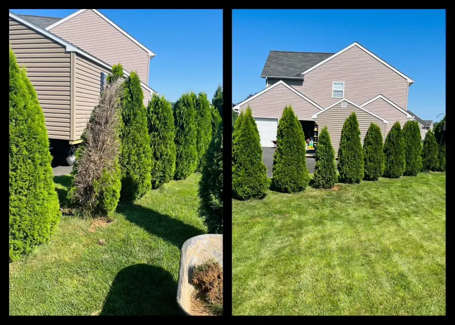 Reliable outdoor landscaping in Nazareth, PA - Alpha Tree and Property Service