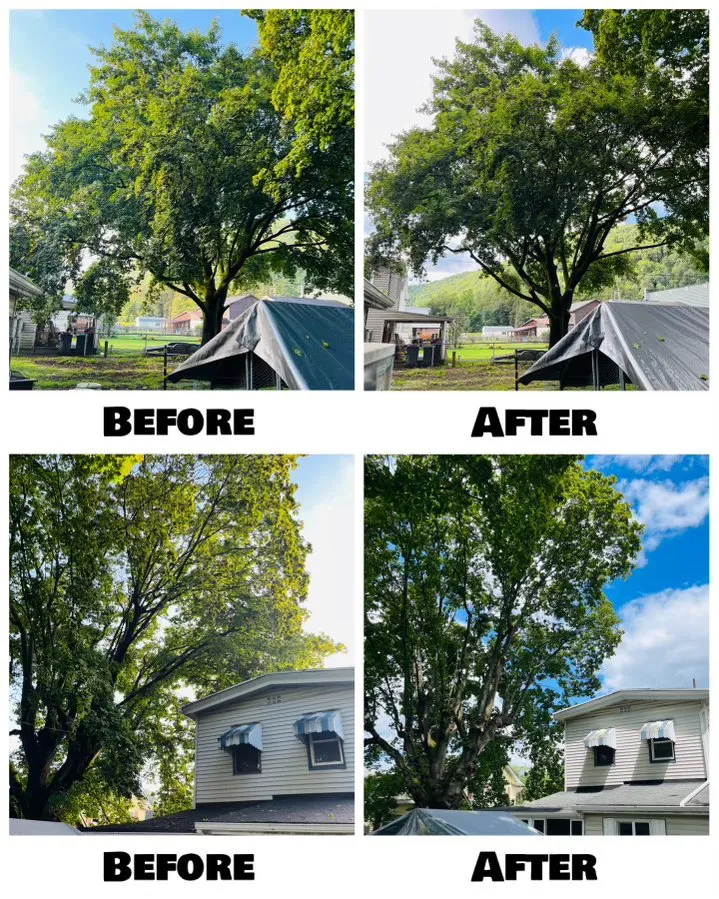 Trusted residential landscaping for beautiful yards across Nazareth, PA - Alpha Tree and Property Service