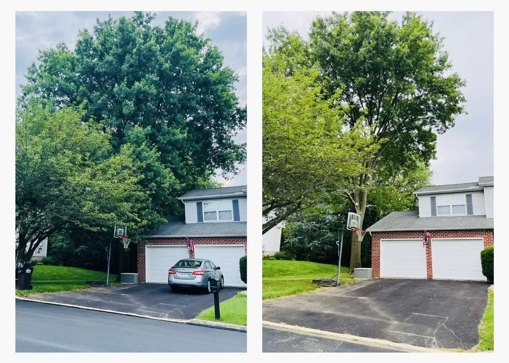 Reliable garden landscaping for year-round maintenance across Nazareth, PA - Alpha Tree and Property Service