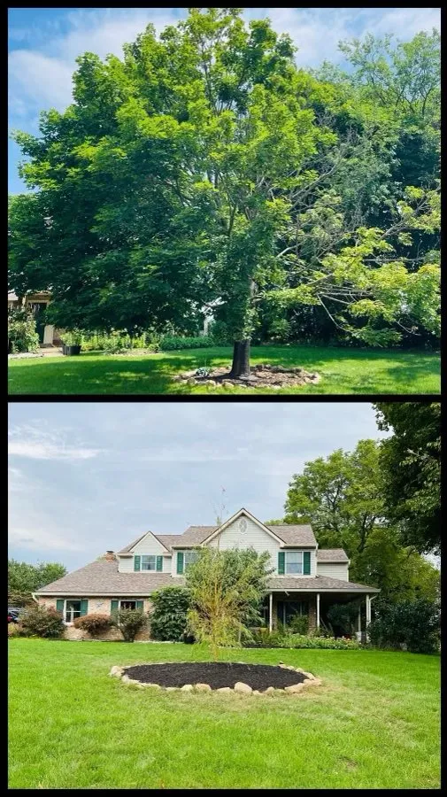 Custom landscape design in Nazareth, PA by Alpha Tree and Property Service