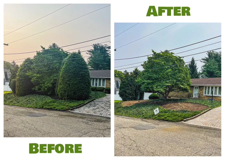 Top-rated residential landscaping in Nazareth, PA - Alpha Tree and Property Service