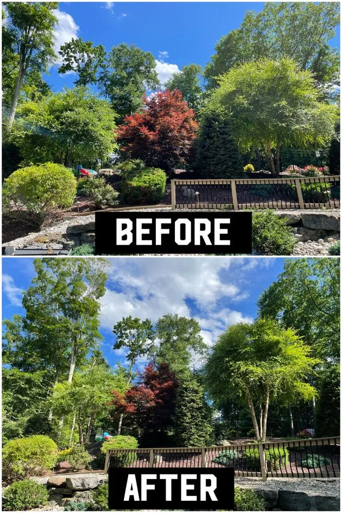 Trusted lawn mowing service for year-round maintenance across Nazareth, PA - Alpha Tree and Property Service