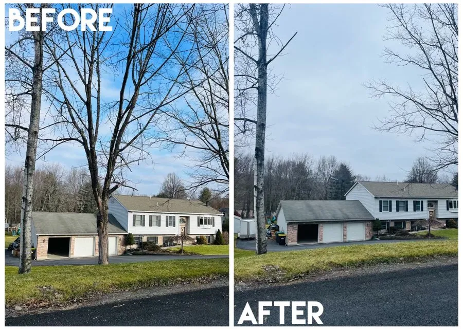 Reliable garden landscaping for homes in Nazareth, PA by Alpha Tree and Property Service