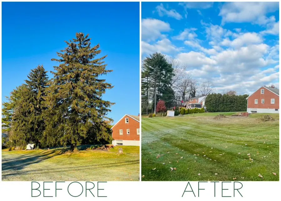 Affordable lawn mowing service in Nazareth, PA - Alpha Tree and Property Service