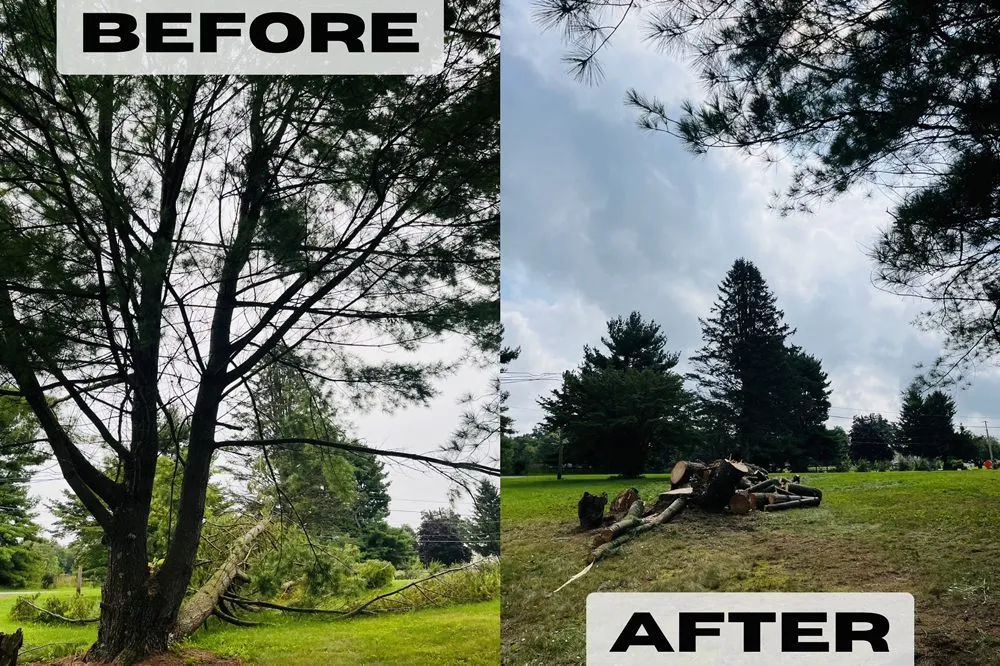 Custom outdoor landscaping in Nazareth, PA by Alpha Tree and Property Service