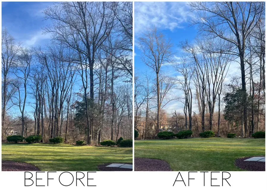 Top-rated outdoor landscaping in Nazareth, PA - Alpha Tree and Property Service