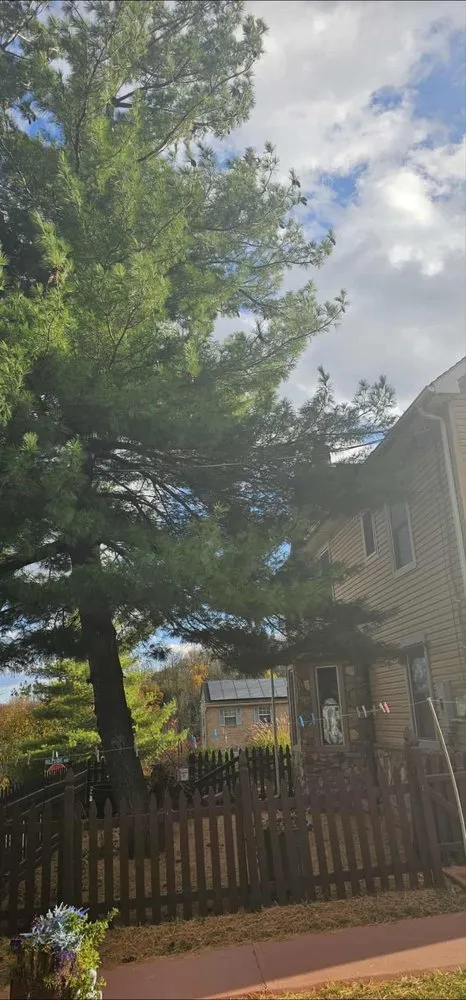 Top-rated residential landscaping in Nazareth, PA - Alpha Tree and Property Service