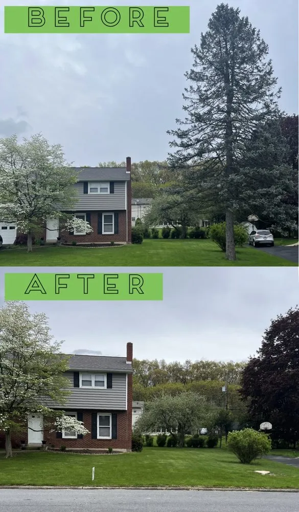 Trusted landscape installation experts serving Nazareth, PA - Alpha Tree and Property Service