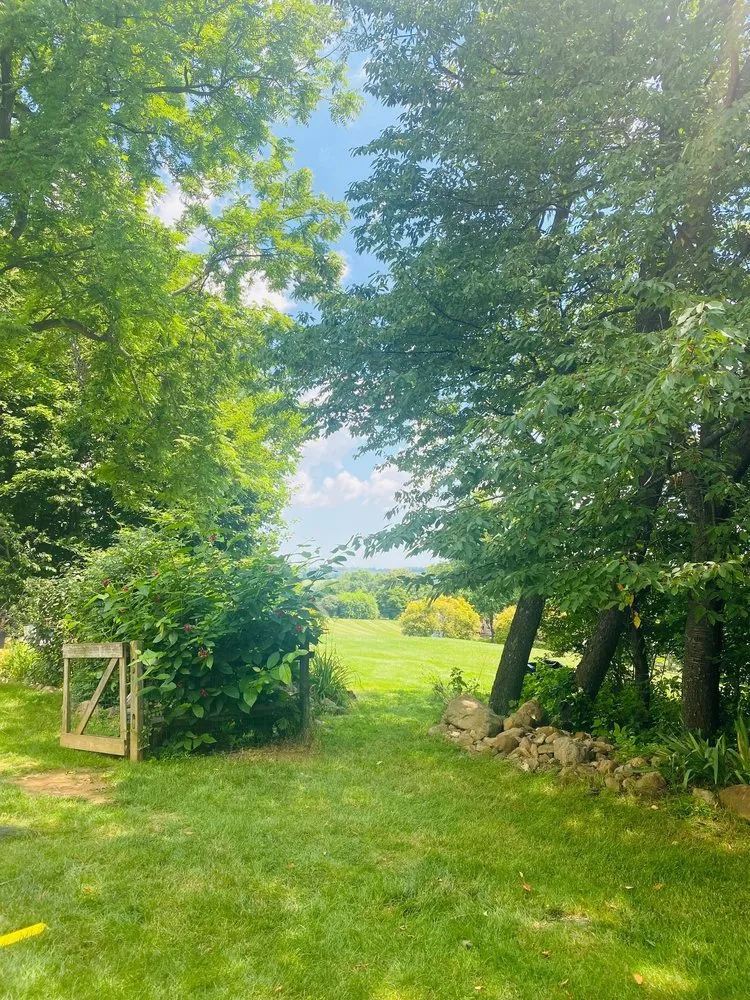 Expert yard maintenance in Nazareth, PA - Alpha Tree and Property Service