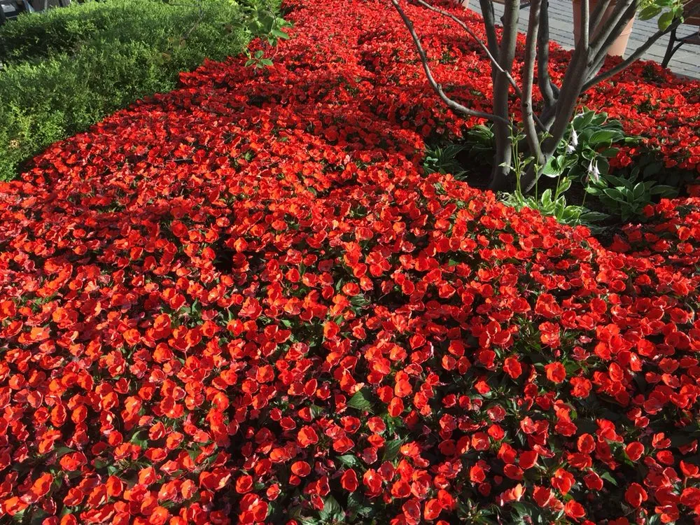 Reliable landscape installation in Beavercreek, OH - Alpha Turf