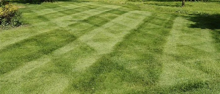 Trusted garden landscaping experts serving Beavercreek, OH - Alpha Turf