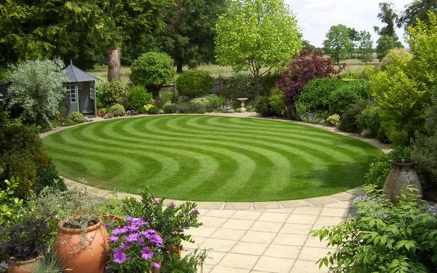 Professional yard cleanup service experts serving Beavercreek, OH - Alpha Turf