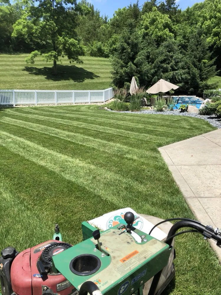 Expert residential landscaping for beautiful yards across Beavercreek, OH - Alpha Turf