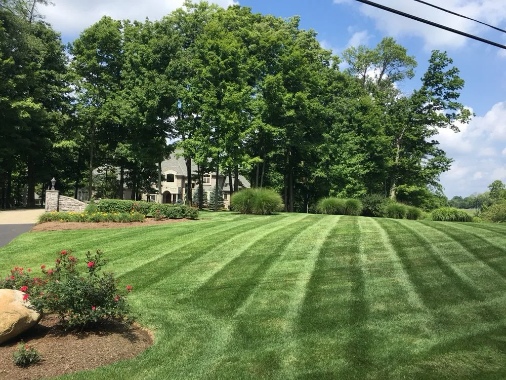 Top-rated yard maintenance experts serving Beavercreek, OH - Alpha Turf