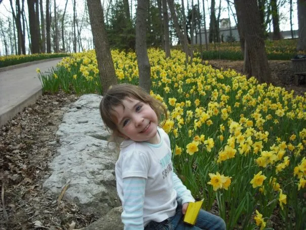 Reliable landscape design experts serving Beavercreek, OH - Alpha Turf