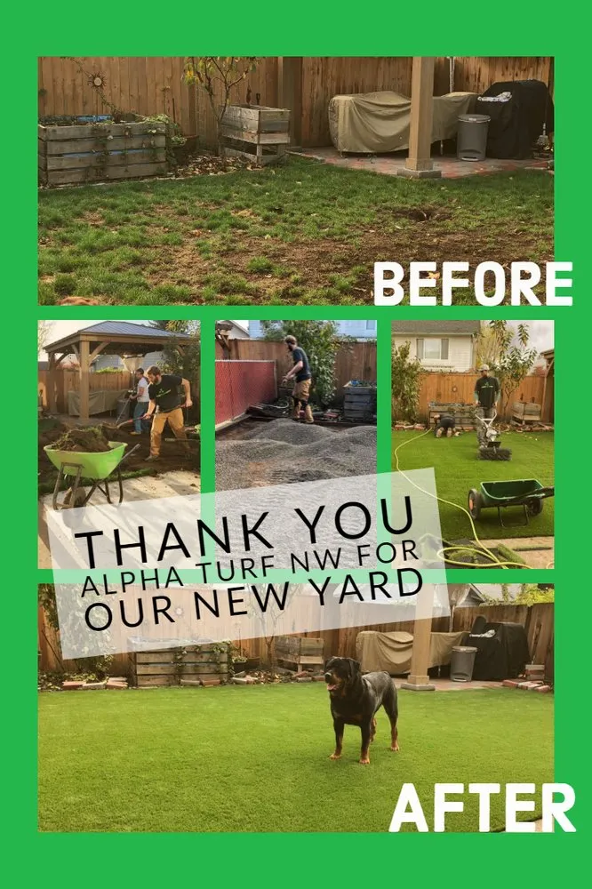 Top-rated outdoor landscaping for year-round maintenance across Eugene, OR - Alpha Turf NW