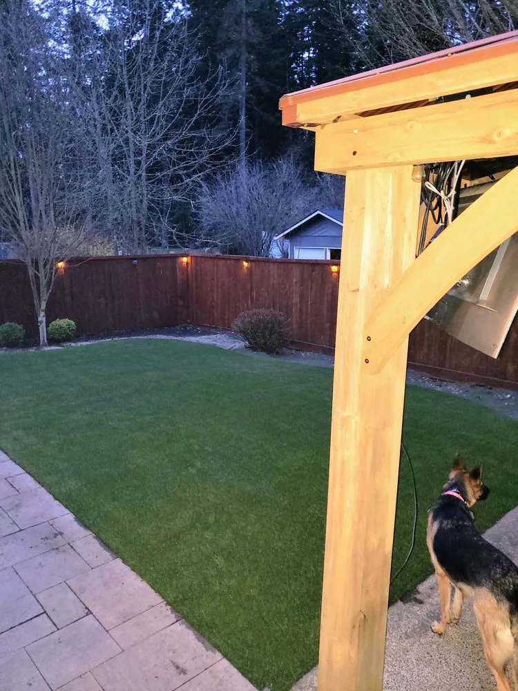 Custom yard maintenance for year-round maintenance across Eugene, OR - Alpha Turf NW