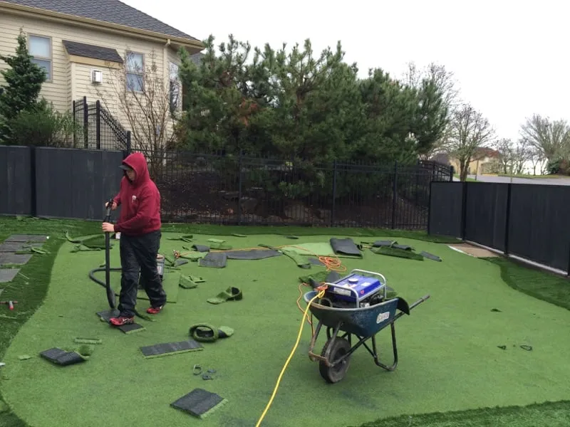 Local lawn care service experts serving Eugene, OR - Alpha Turf NW