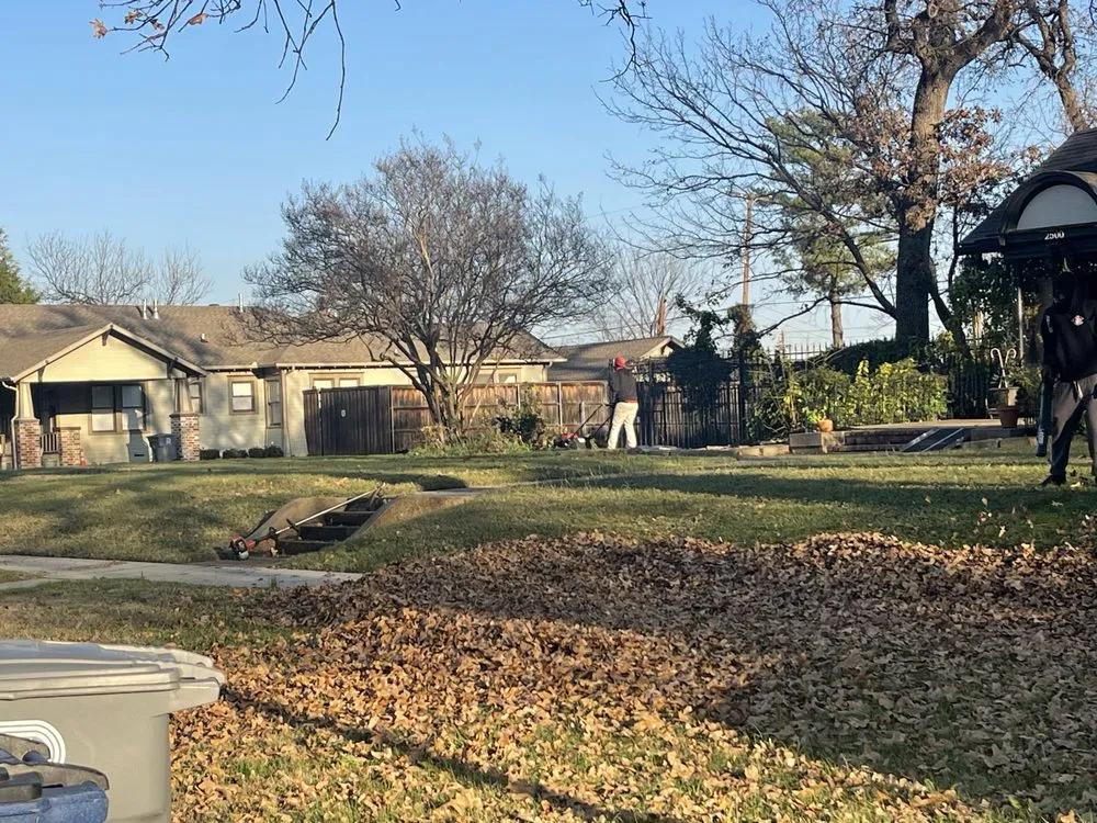 Reliable residential landscaping in Dallas, TX by Alpha Wolf Landscaping Service