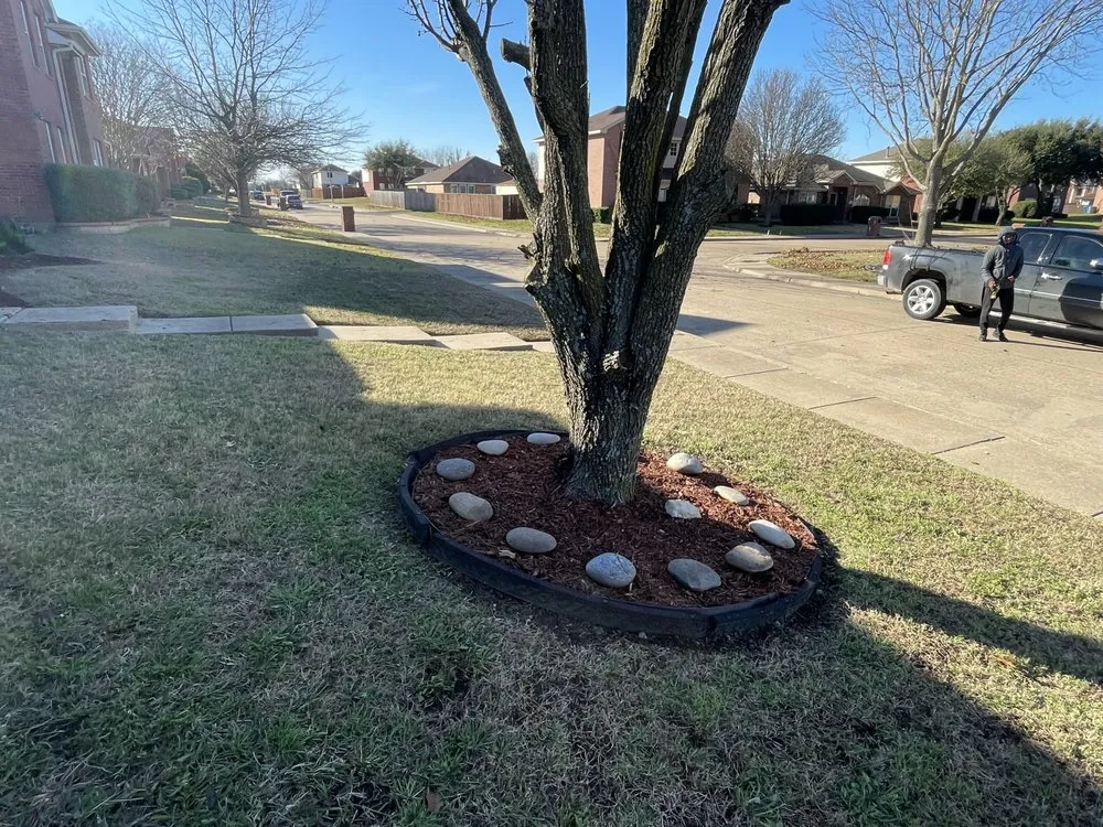 Top-rated landscaping services with custom design across Dallas, TX - Alpha Wolf Landscaping Service