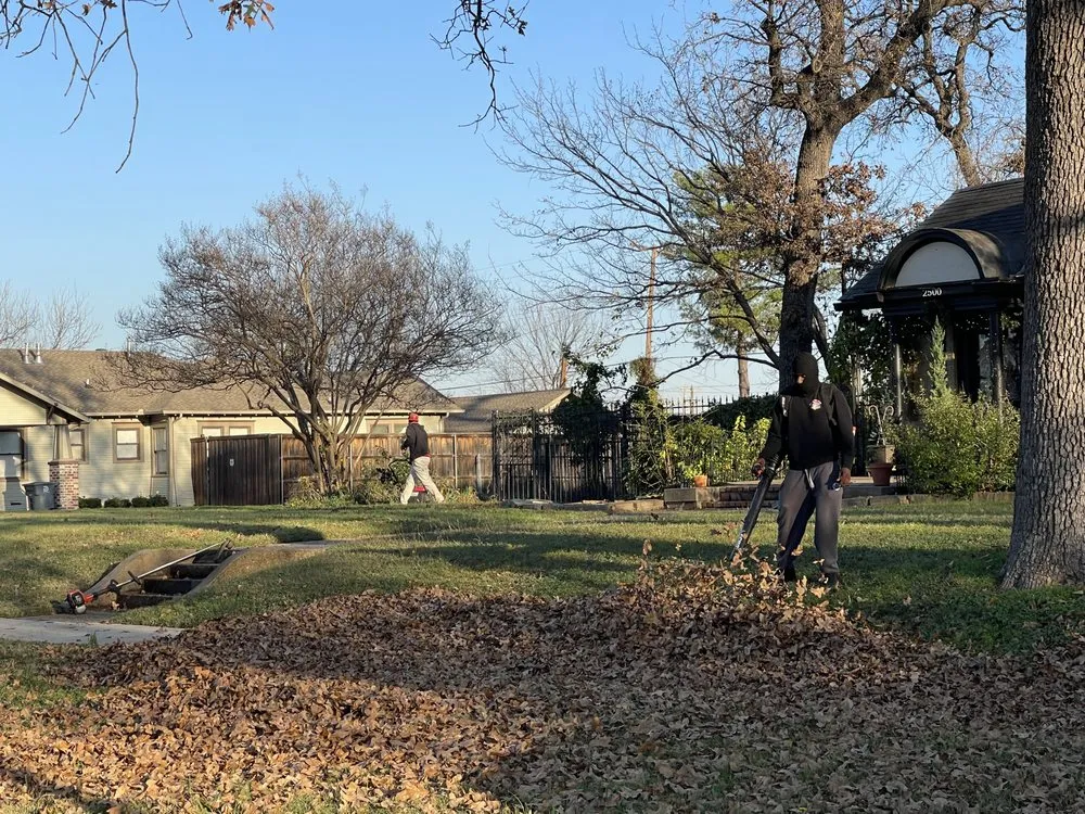 Trusted outdoor landscaping for outdoor upgrades in Dallas, TX by Alpha Wolf Landscaping Service