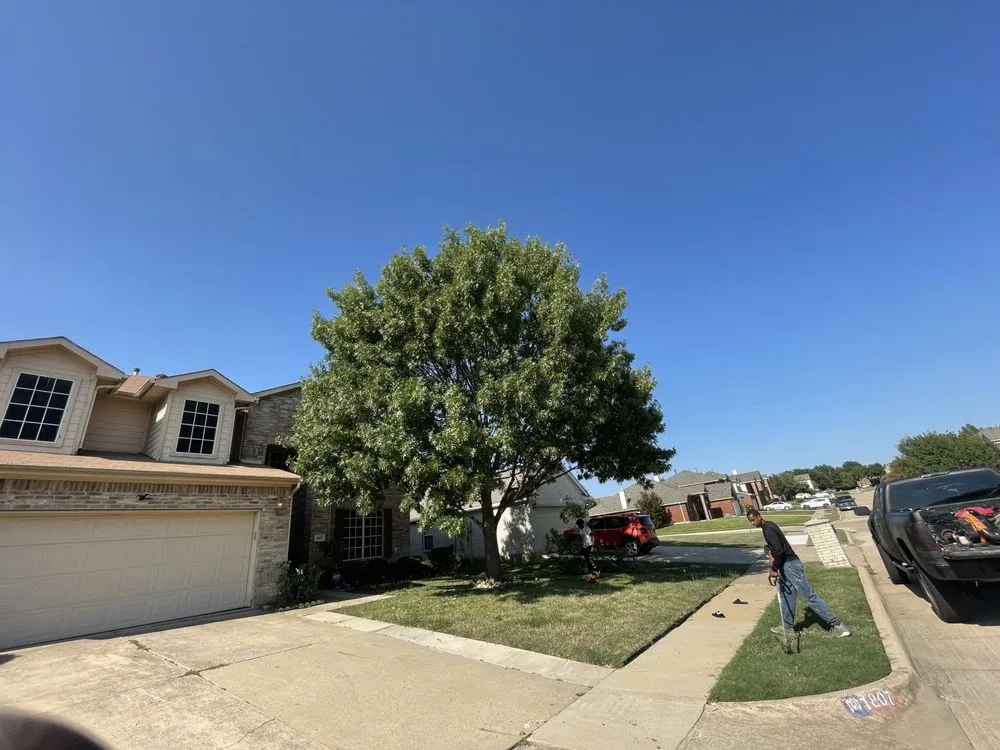 Professional garden landscaping in Dallas, TX by Alpha Wolf Landscaping Service