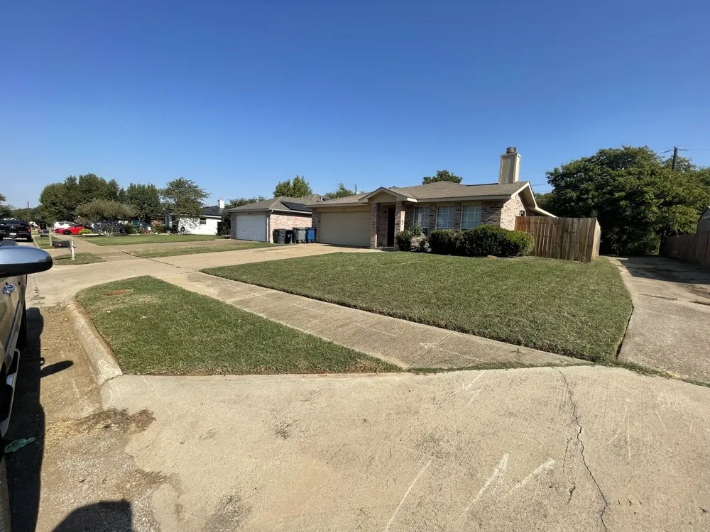 Affordable outdoor landscaping in Dallas, TX - Alpha Wolf Landscaping Service