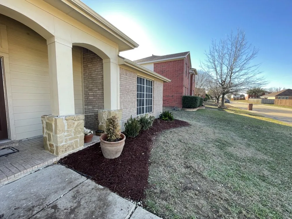 Custom lawn mowing service in Dallas, TX by Alpha Wolf Landscaping Service