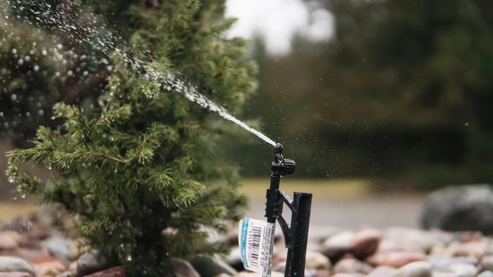 Affordable yard cleanup service in Chehalis, WA - Alpha Y La Omega Landscaping