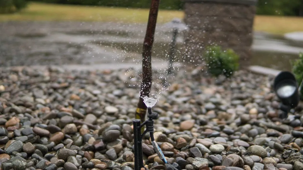 Local lawn care service experts serving Chehalis, WA - Alpha Y La Omega Landscaping