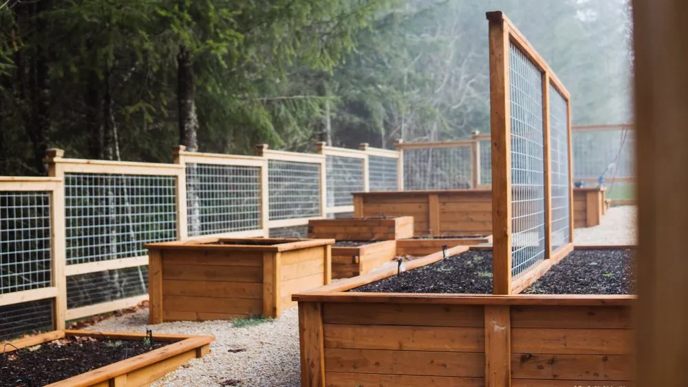 Trusted yard maintenance for outdoor upgrades across Chehalis, WA - Alpha Y La Omega Landscaping