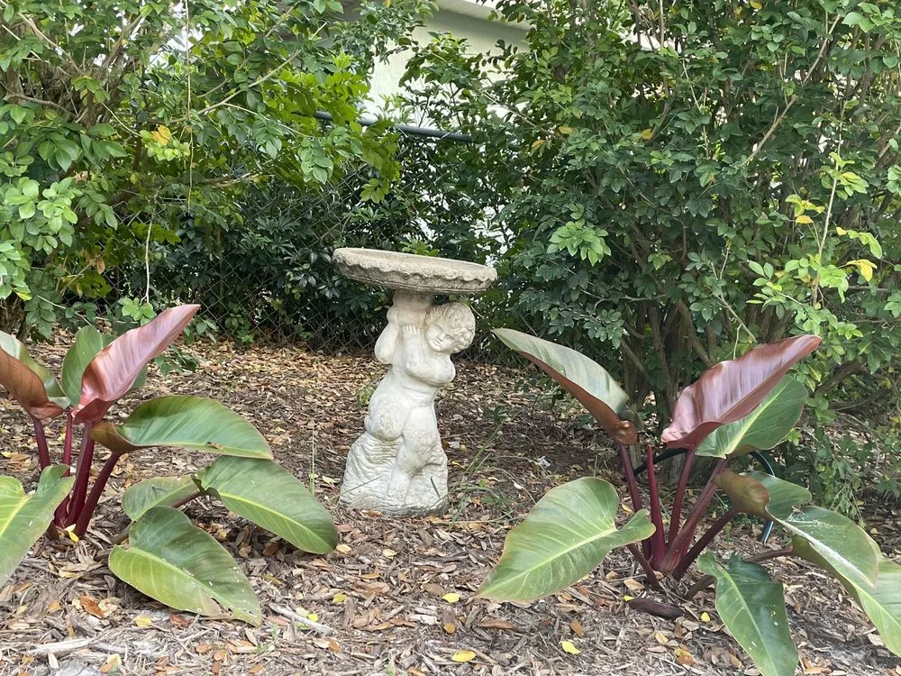 Reliable landscape installation in Palm City, FL by Alpha Zeta Landscaping