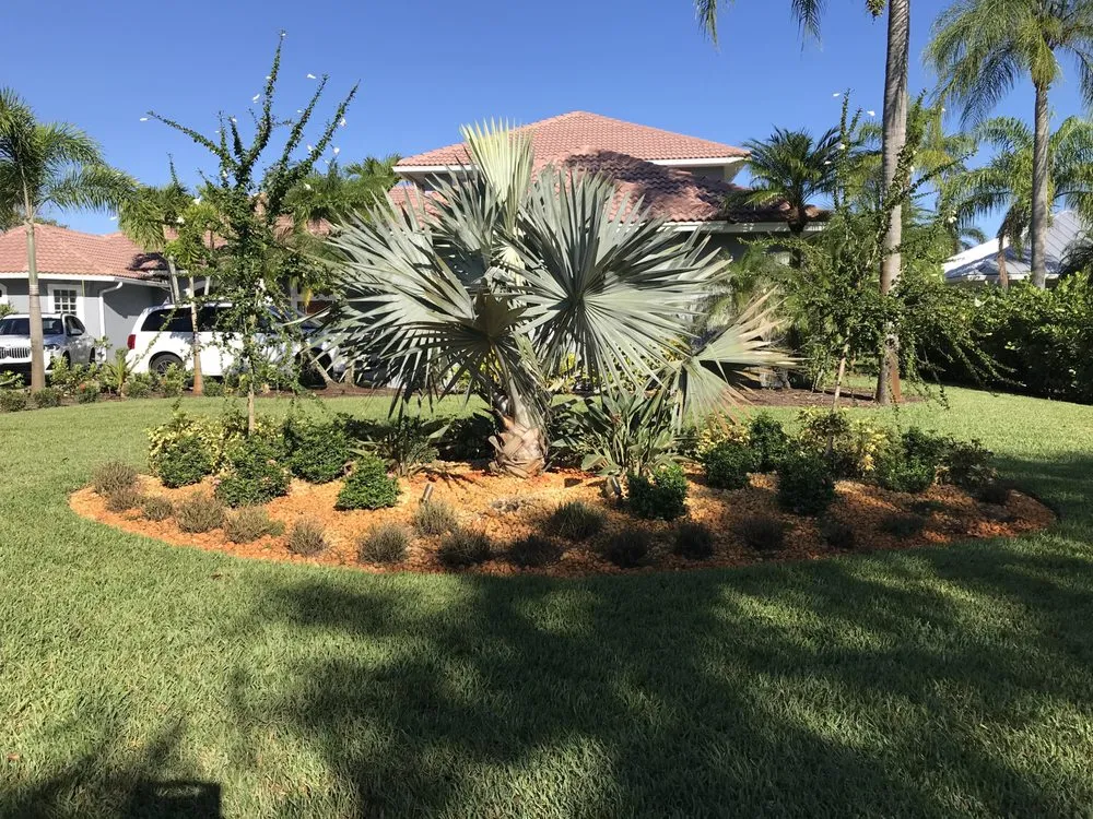 Trusted yard cleanup service experts serving Palm City, FL - Alpha Zeta Landscaping