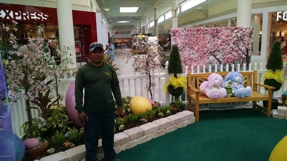 Reliable landscape design experts serving Palm City, FL - Alpha Zeta Landscaping