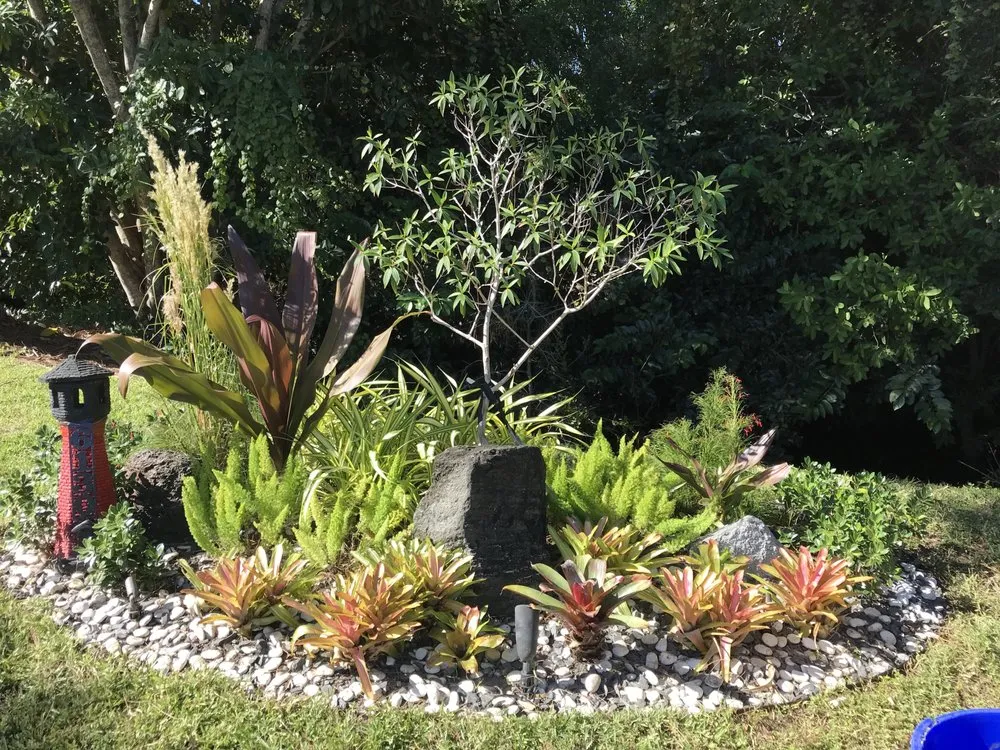 Expert landscape installation in Palm City, FL - Alpha Zeta Landscaping