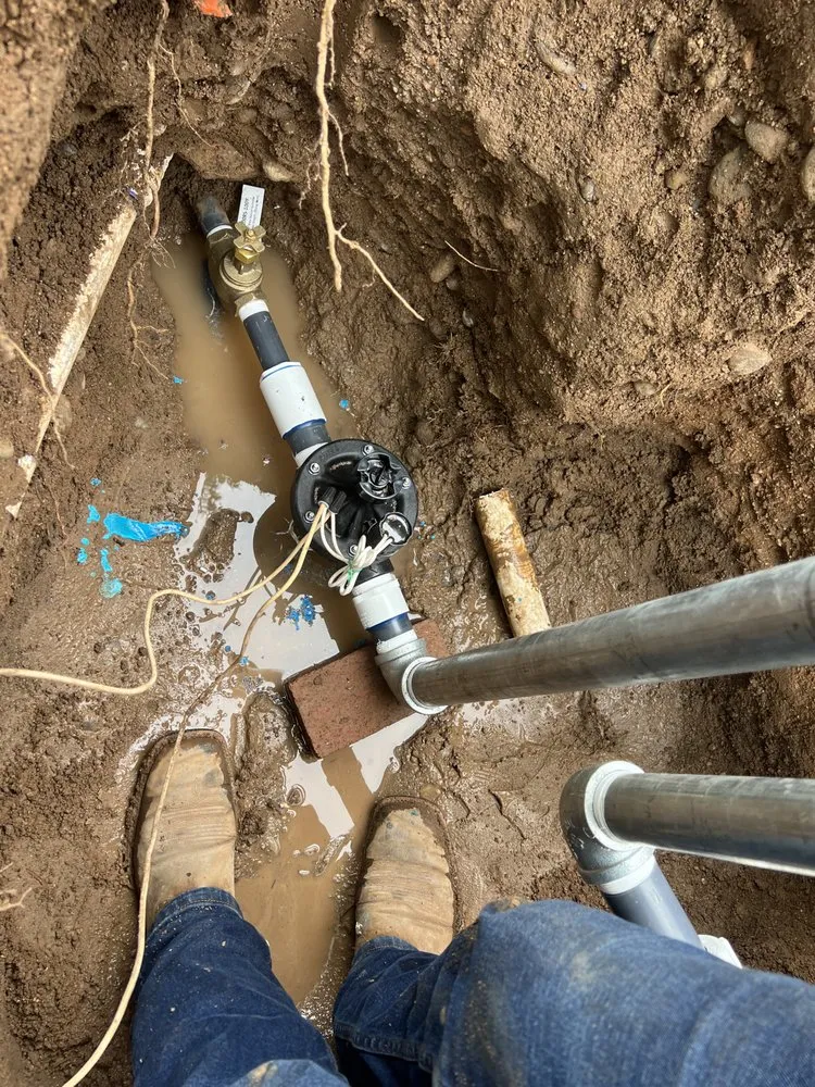 Reliable lawn care service for beautiful yards across Albuquerque, NM - Alpha1 Sprinklers