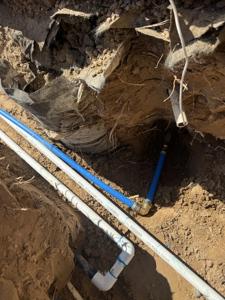 Expert residential landscaping for homes across Albuquerque, NM - Alpha1 Sprinklers