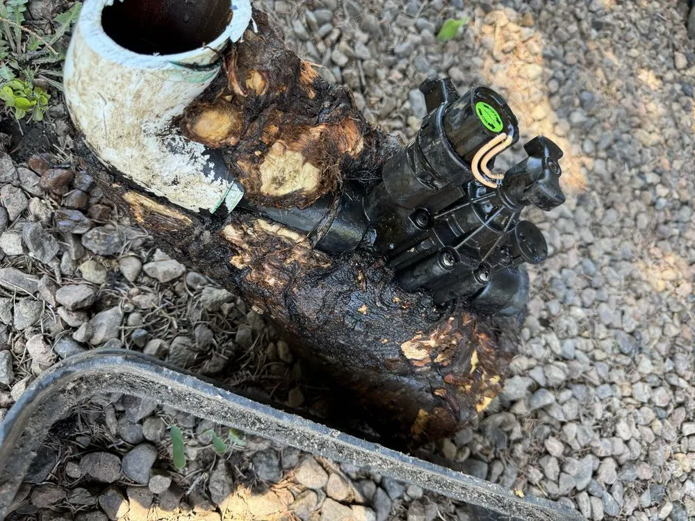 Reliable residential landscaping experts serving Albuquerque, NM - Alpha1 Sprinklers