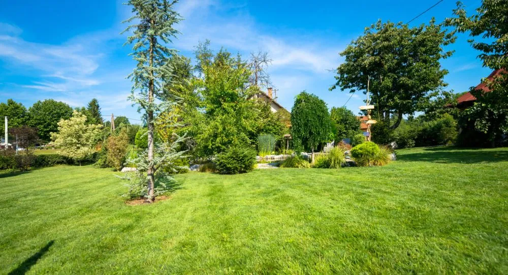 Expert yard maintenance experts serving Briarcliff Manor, NY - Alphabet Landscaping & Maintenance