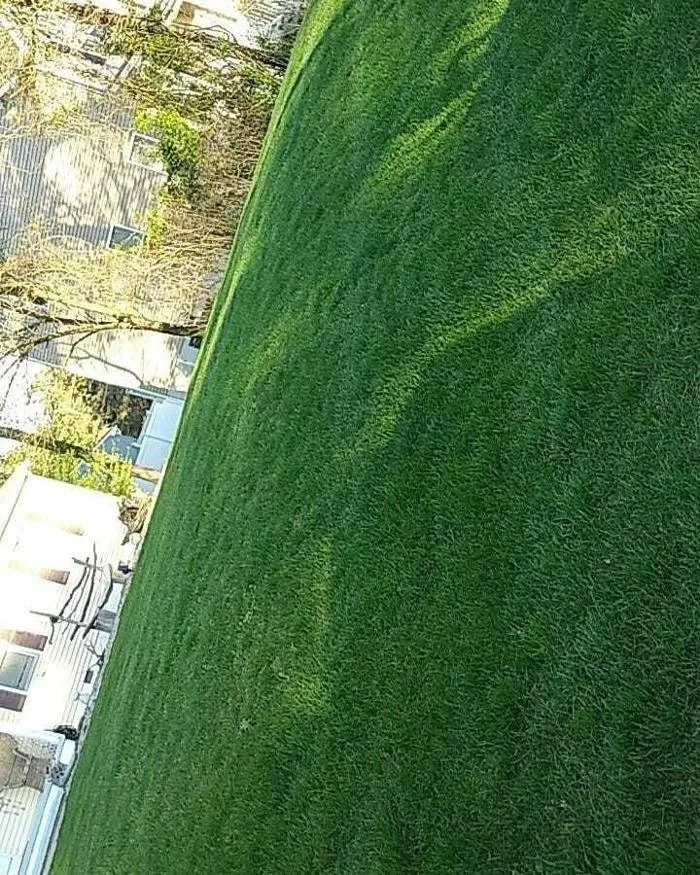 Reliable lawn care service with custom design in West Creek, NJ by Alpha's Landscaping