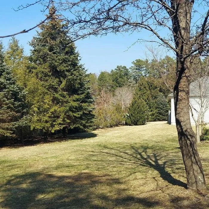 Reliable landscape installation in West Creek, NJ - Alpha's Landscaping