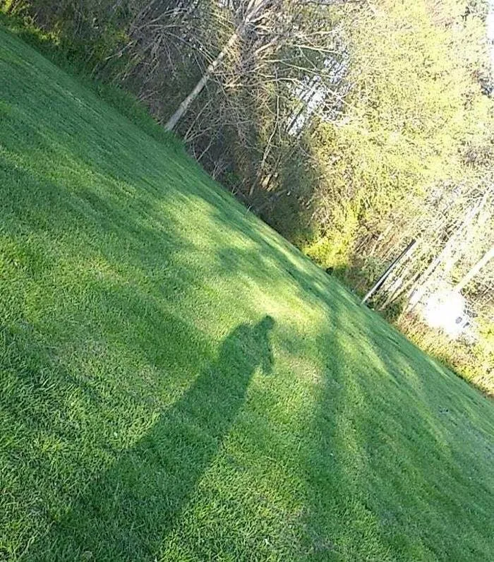 Custom lawn mowing service for homes in West Creek, NJ by Alpha's Landscaping