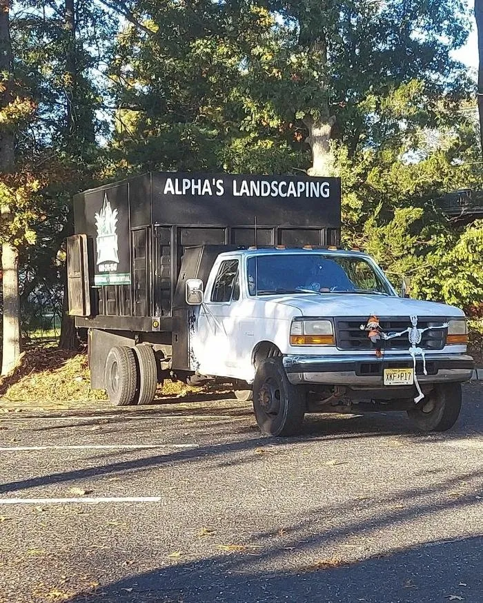 Custom yard cleanup service near you across West Creek, NJ - Alpha's Landscaping