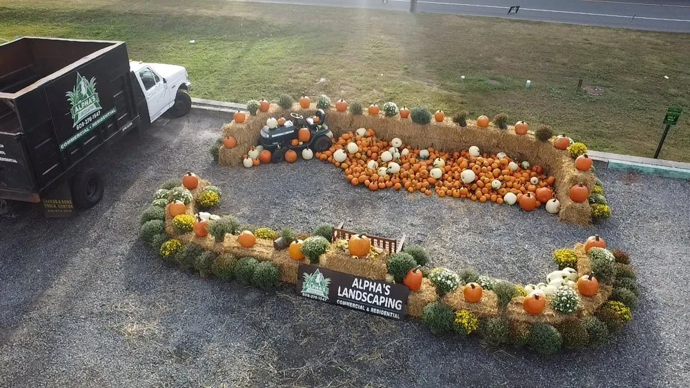 Professional yard maintenance in West Creek, NJ by Alpha's Landscaping