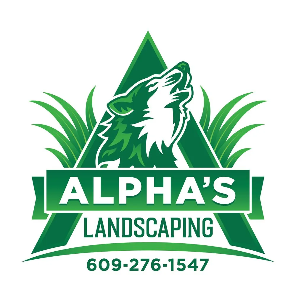 Reliable yard cleanup service for beautiful yards across West Creek, NJ - Alpha's Landscaping