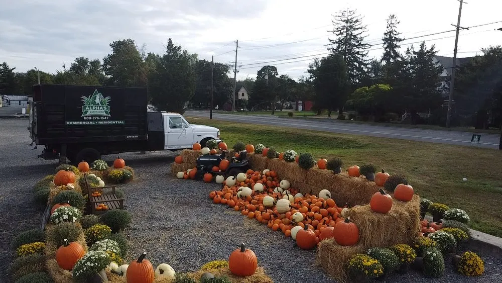 Professional lawn mowing service for year-round maintenance in West Creek, NJ by Alpha's Landscaping