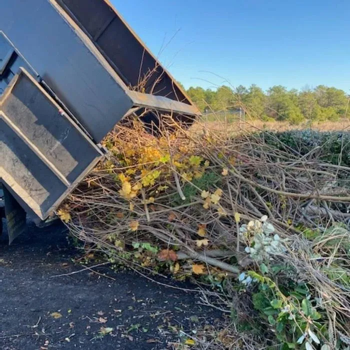 Local residential landscaping for outdoor upgrades across West Creek, NJ - Alpha's Landscaping