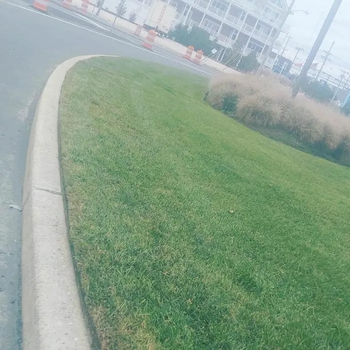 Custom residential landscaping in West Creek, NJ by Alpha's Landscaping