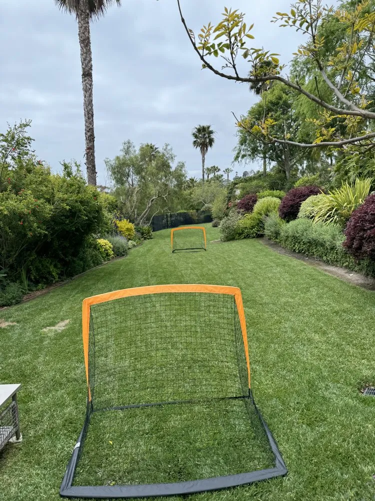 Top-rated yard cleanup service experts serving Culver City, CA - Alphascape Landscaping Services