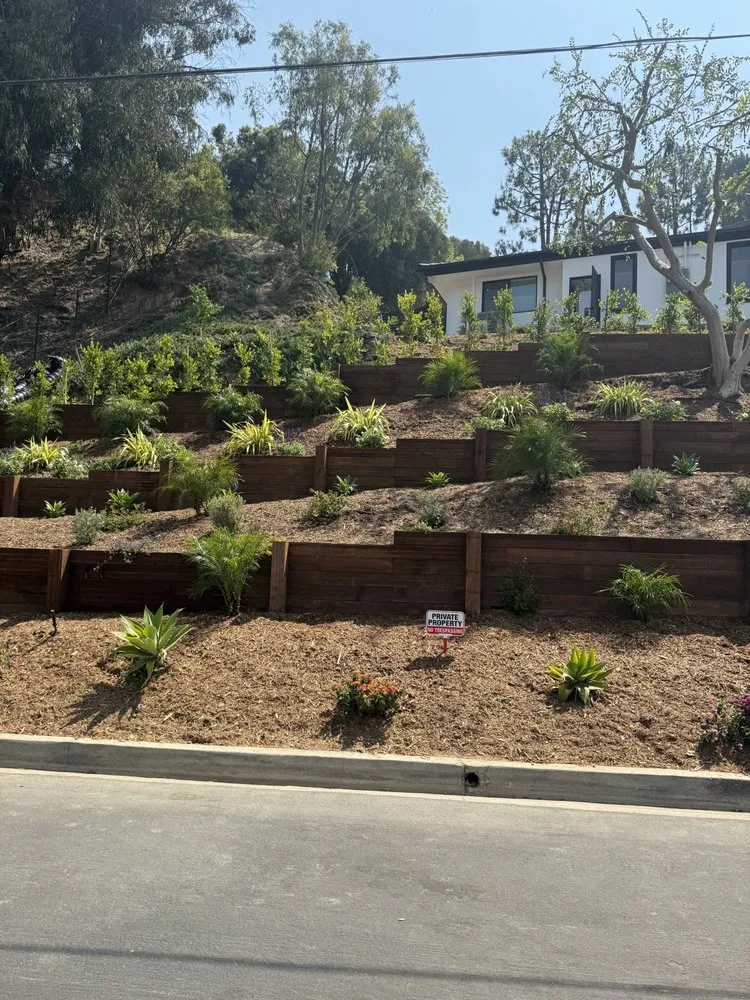 Reliable landscape design for year-round maintenance in Culver City, CA by Alphascape Landscaping Services